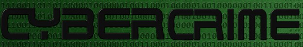 Cyber crime lawyer in delhi